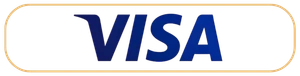 Visa card Logo
